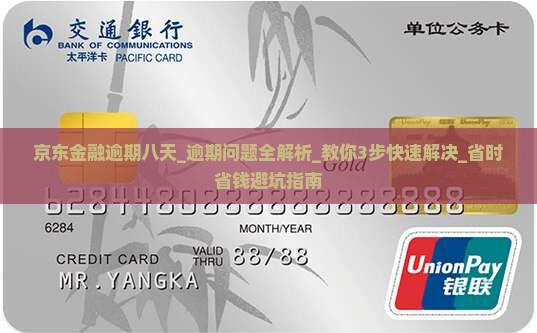 京东金融逾期八天