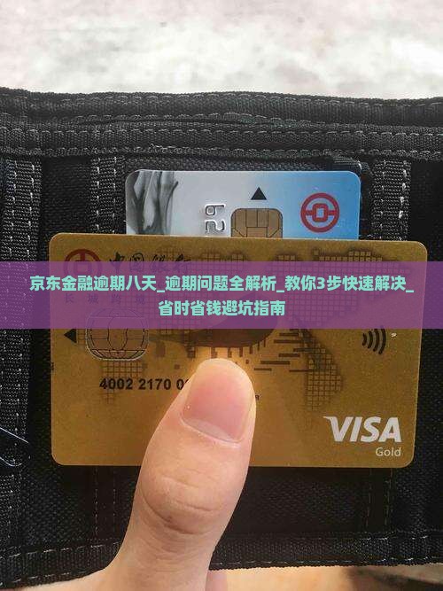 京东金融逾期八天