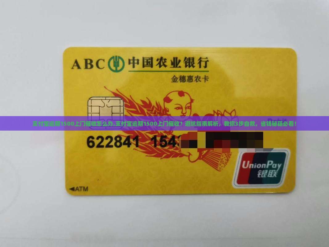 支付宝逾期1500上门催收怎么办