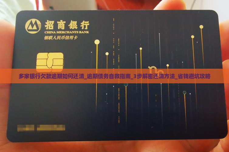 多家银行欠款逾期如何还清