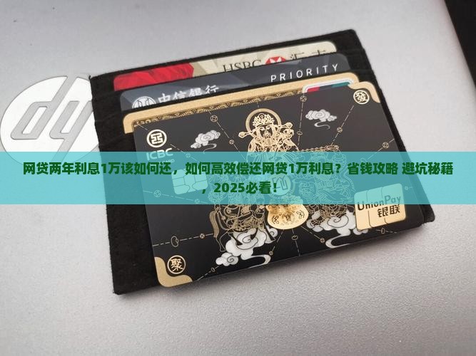 网贷两年利息1万该如何还