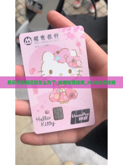 易乐贷逾期还款怎么办了
