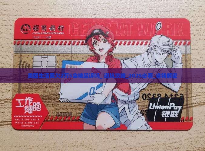 美团生活费欠2万5会被起诉吗