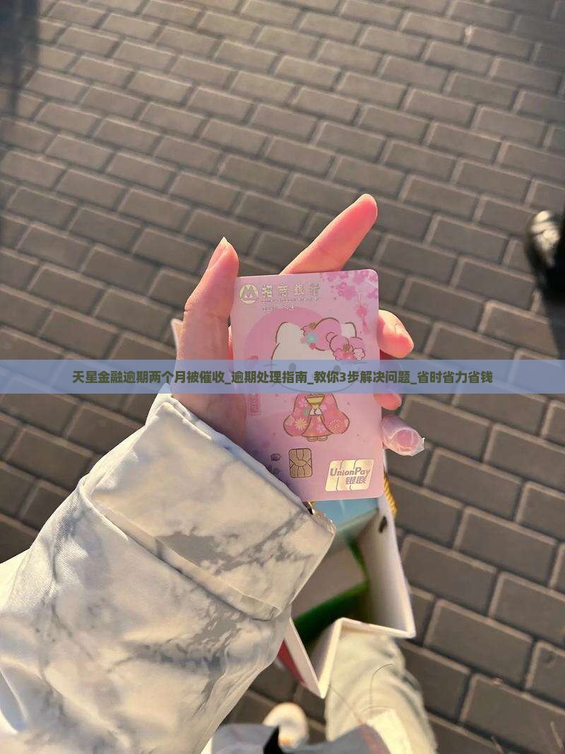 天星金融逾期两个月被催收该如何处理