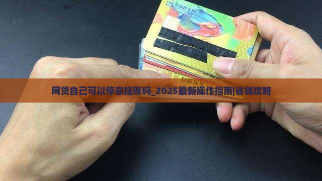 网贷自己可以办理停息挂账吗的具体操作方法