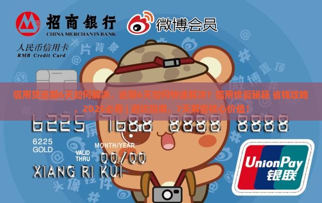 信用贷逾期6天如何解决