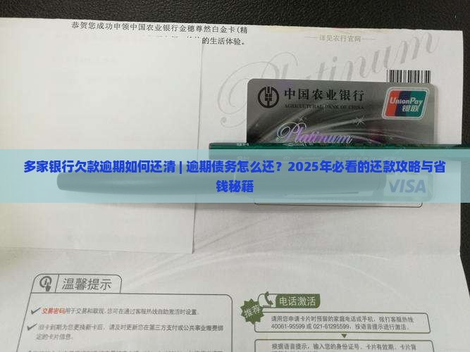 多家银行欠款逾期如何还清
