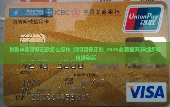 贷款申请暂停还款怎么操作