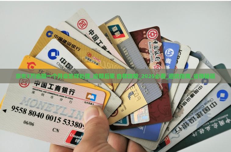 京东白条3万逾期一个月会怎样处理