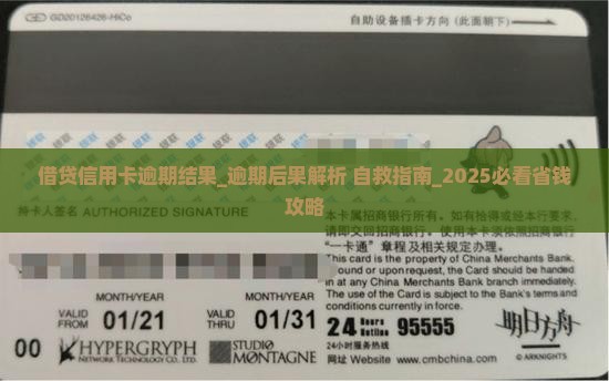 借贷信用卡逾期结果
