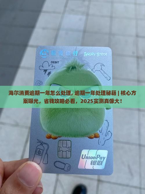 海尔消费逾期一年怎么处理