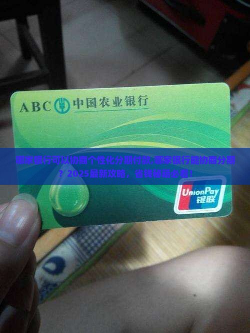 哪家银行可以协商个性化分期付款