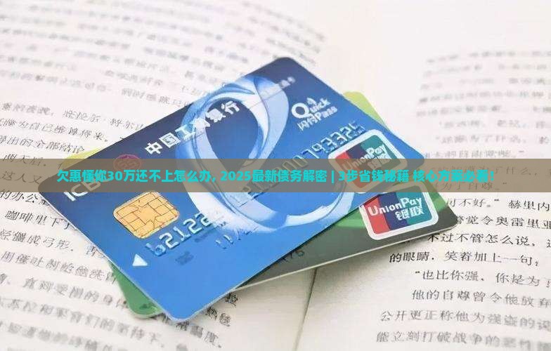 欠惠懂你30万还不上怎么办