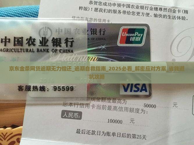 京东金条网贷逾期无力偿还