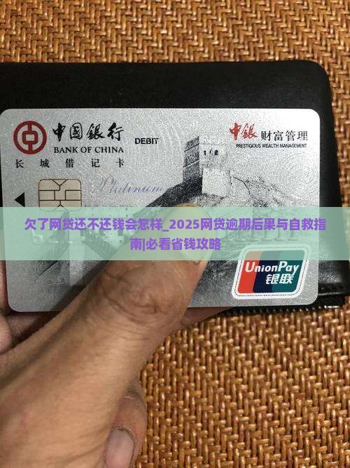欠了网贷还不还钱会怎样