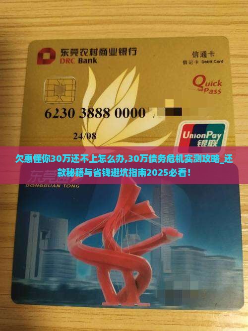 欠惠懂你30万还不上怎么办