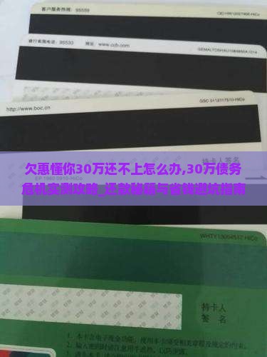 欠惠懂你30万还不上怎么办