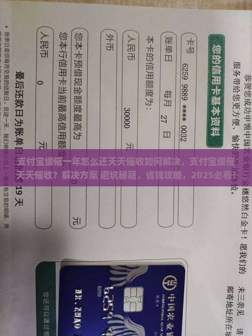 支付宝缓催一年怎么还天天催收如何解决