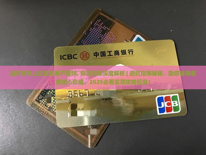益农贷停止还款后果严重吗