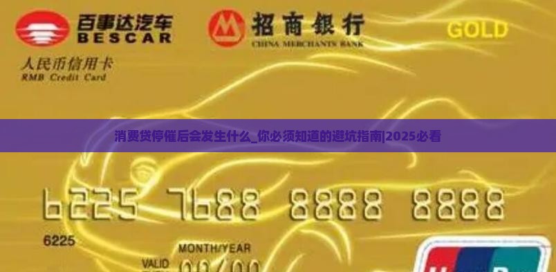 消费贷停催后会发生什么