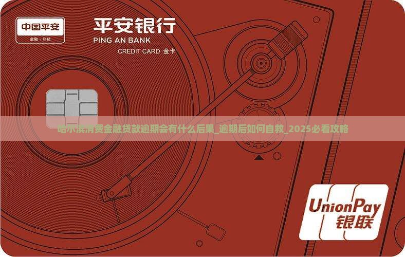 哈尔滨消费金融贷款逾期会有什么后果