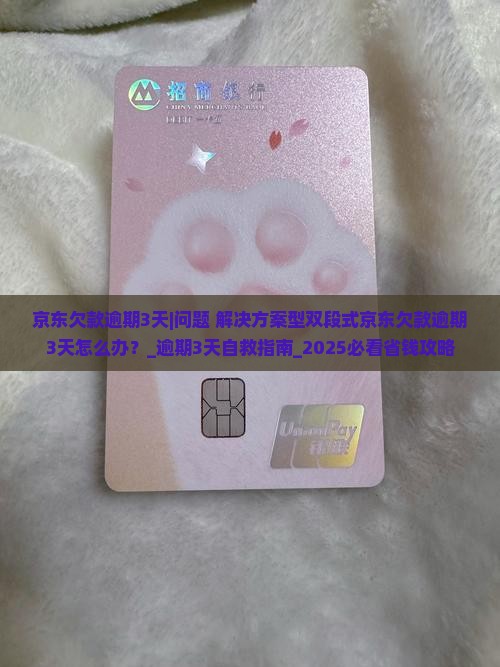 京东欠款逾期3天怎么办