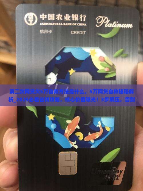第二次网贷欠5万自救方法是什么