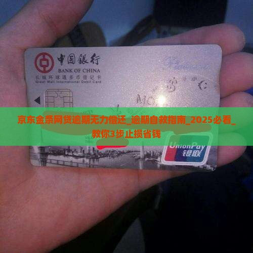 京东金条网贷逾期无力偿还