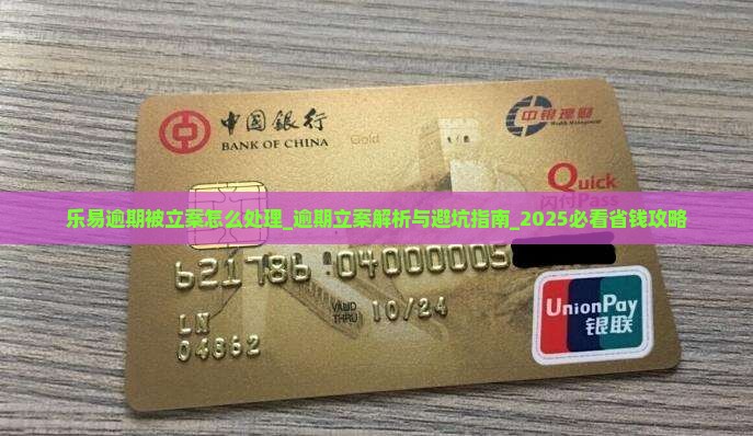 乐易逾期被立案怎么处理