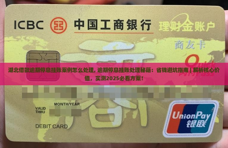 湖北借款逾期停息挂账案例怎么处理