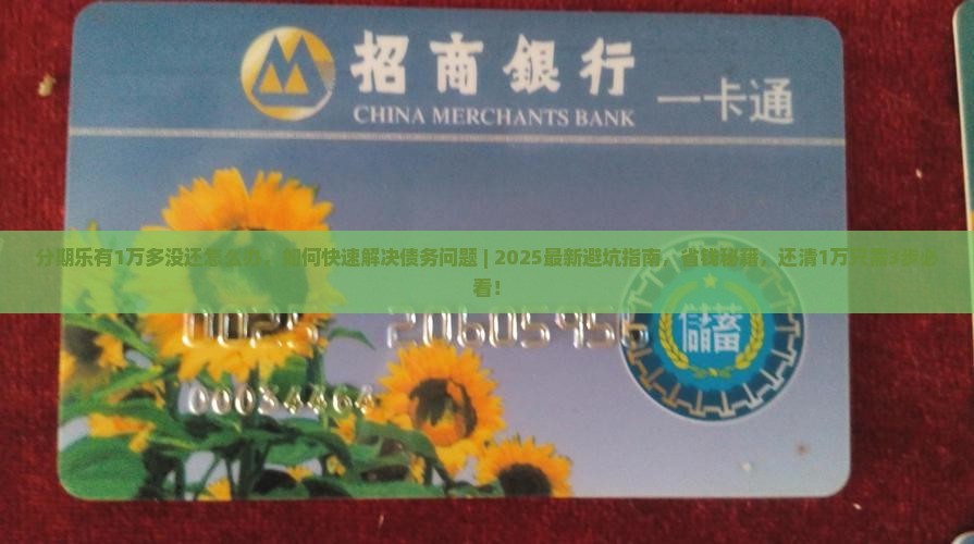 分期乐有1万多没还怎么办