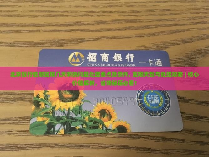 北京银行逾期宽限几天啊的问题处理要点及条件
