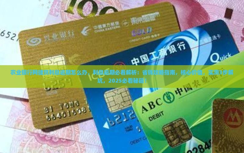 农业银行网捷贷利息逾期怎么办