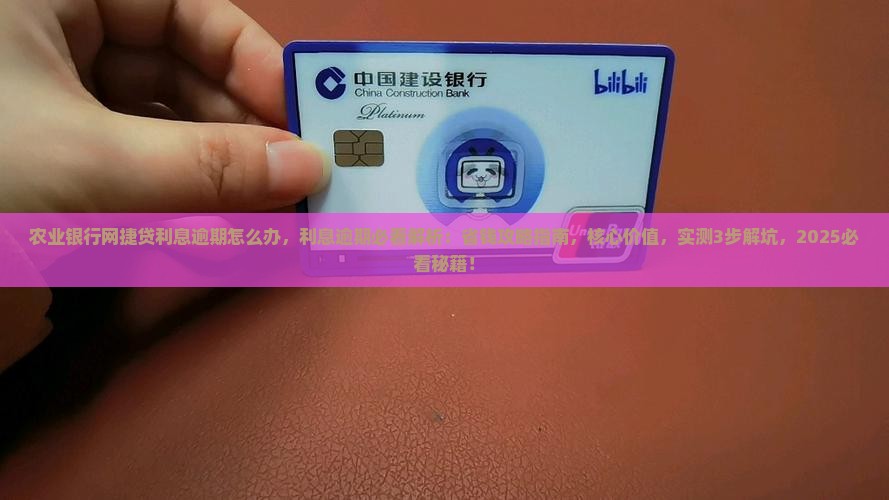 农业银行网捷贷利息逾期怎么办
