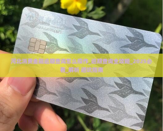河北消费金融逾期查询怎么操作