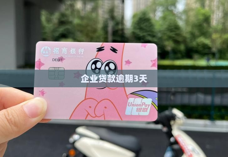 企业贷款逾期3天