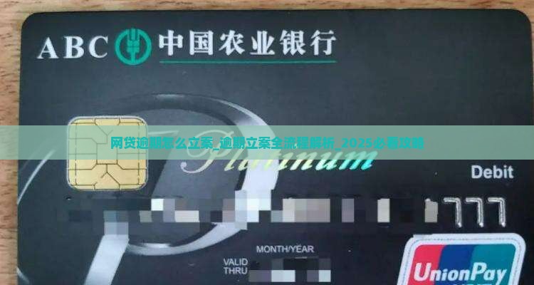 网贷逾期怎么立案