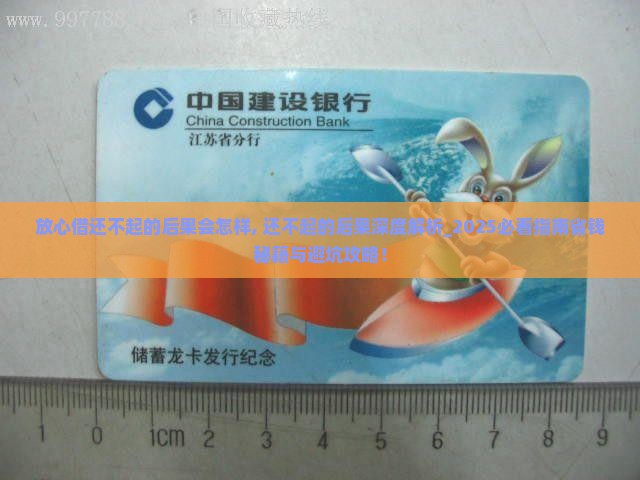 放心借还不起的后果会怎样