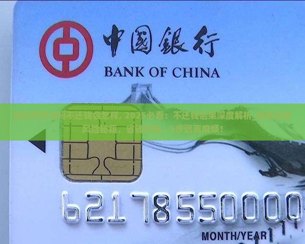 拍拍贷犯法吗不还钱会怎样