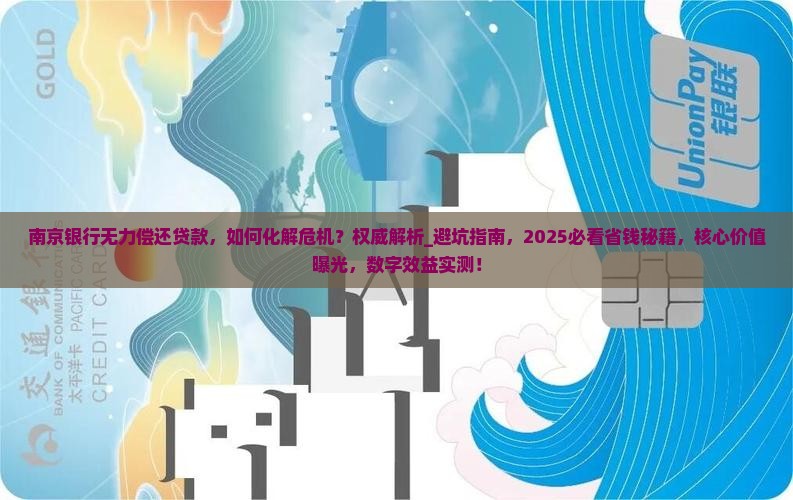 南京银行无力偿还贷款