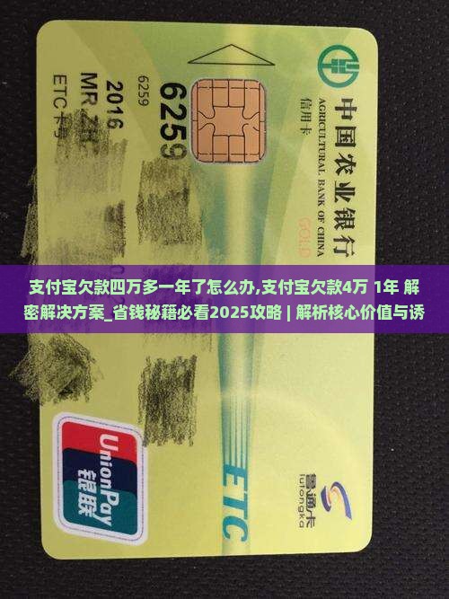 支付宝欠款四万多一年了怎么办