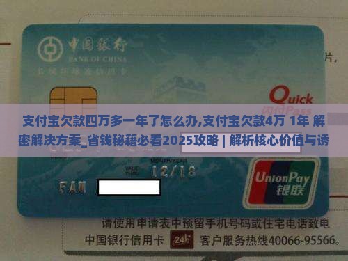 支付宝欠款四万多一年了怎么办