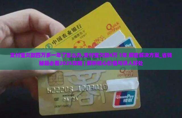 支付宝欠款四万多一年了怎么办