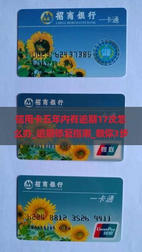 信用卡五年内有逾期17次怎么办