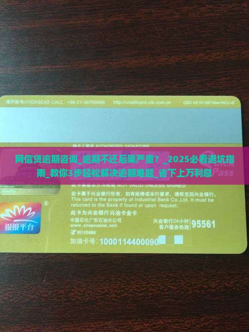 网信贷逾期咨询
