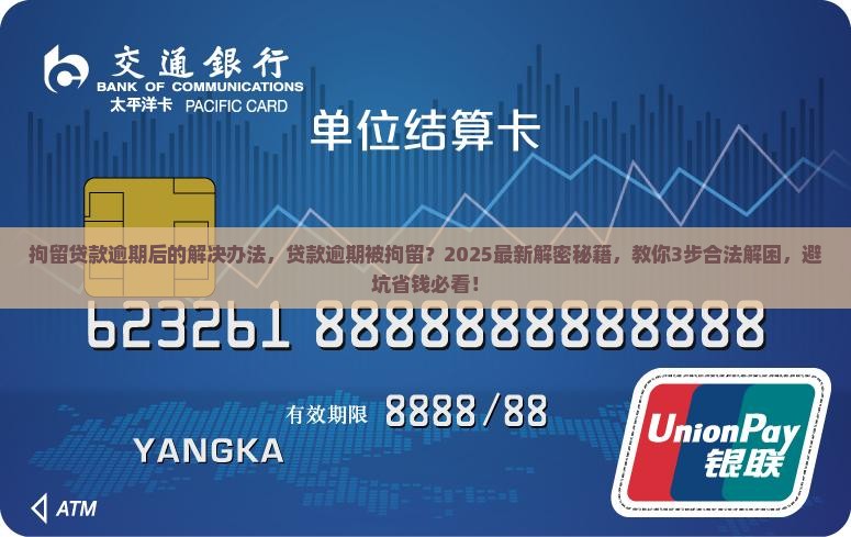 拘留贷款逾期后的解决办法