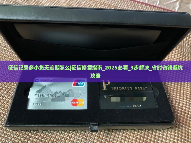 征信记录多小贷无逾期怎么办理