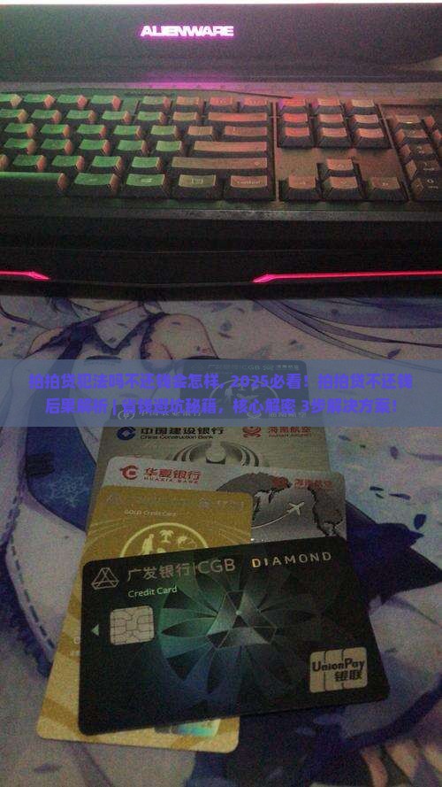 拍拍贷犯法吗不还钱会怎样