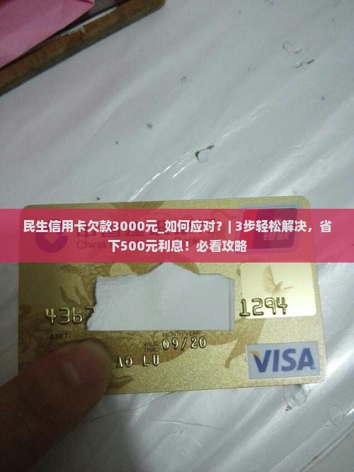 民生信用卡欠款3000元怎么办