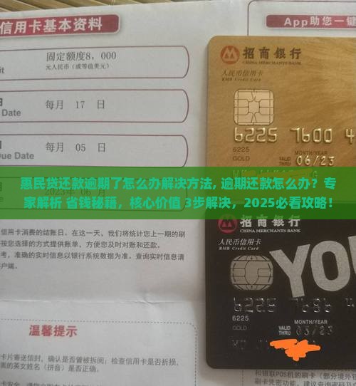 惠民贷还款逾期了怎么办解决方法